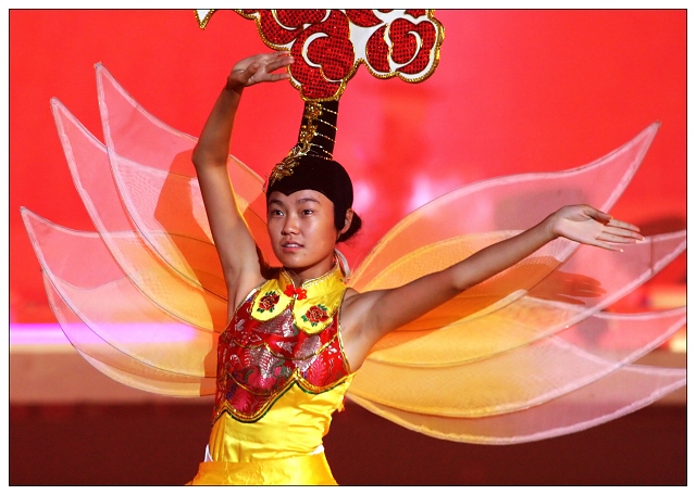 《花团锦簇16运》