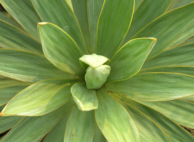 我与花芯干上了(又一组花芯)