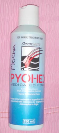 [分享]偶家的狗狗用品show!~ 嘿嘿~一定有你中意的,哈哈!~