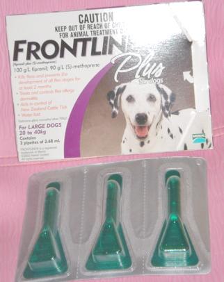 [分享]偶家的狗狗用品show!~ 嘿嘿~一定有你中意的,哈哈!~