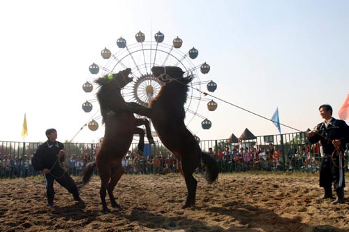 两个畜生为了异性大打出手，拉都来不住