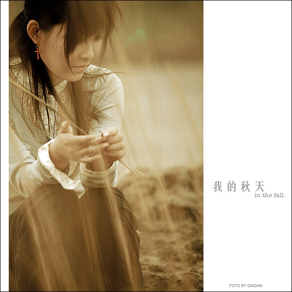 我的秋天