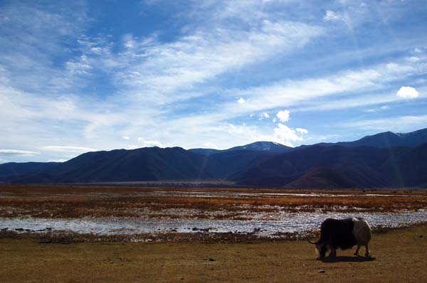 神秘的香格里拉