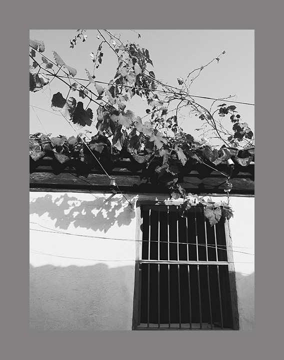 [原创]~~~走过老街，是一份记忆~~~