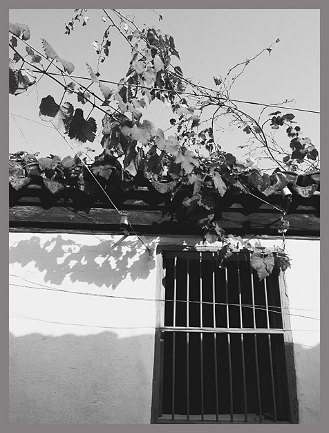 [原创]~~~是记录，是一份记忆~~~