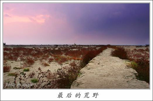 【　最　后　的　荒　野　】