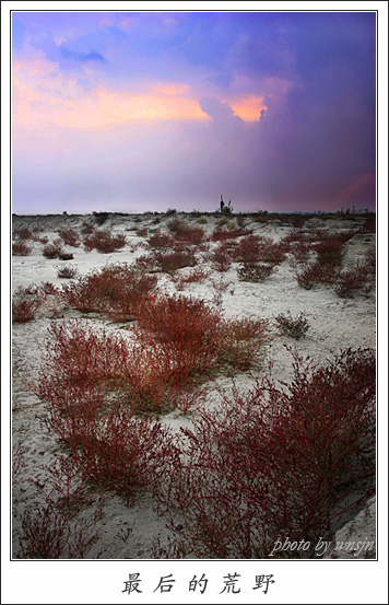 【　最　后　的　荒　野　】