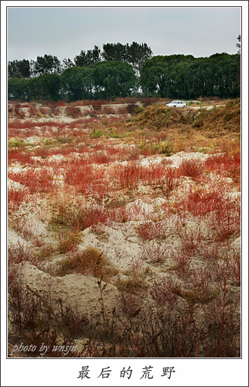 【　最　后　的　荒　野　】