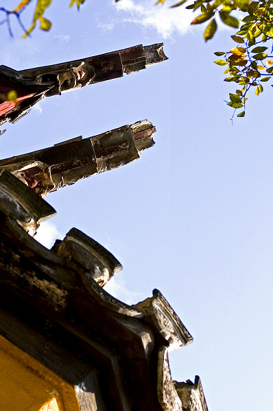 [原创]初冬狼山小景
