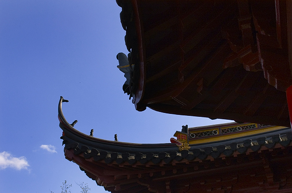 [原创]初冬狼山小景