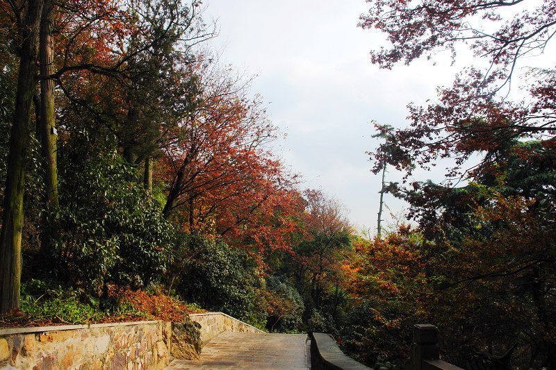 [原创]狼山随拍