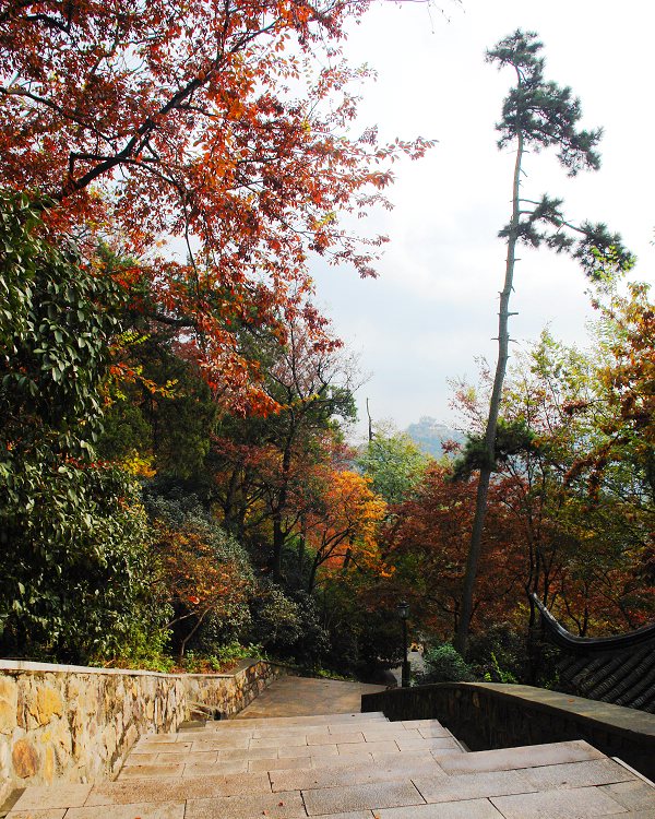 [原创]狼山随拍