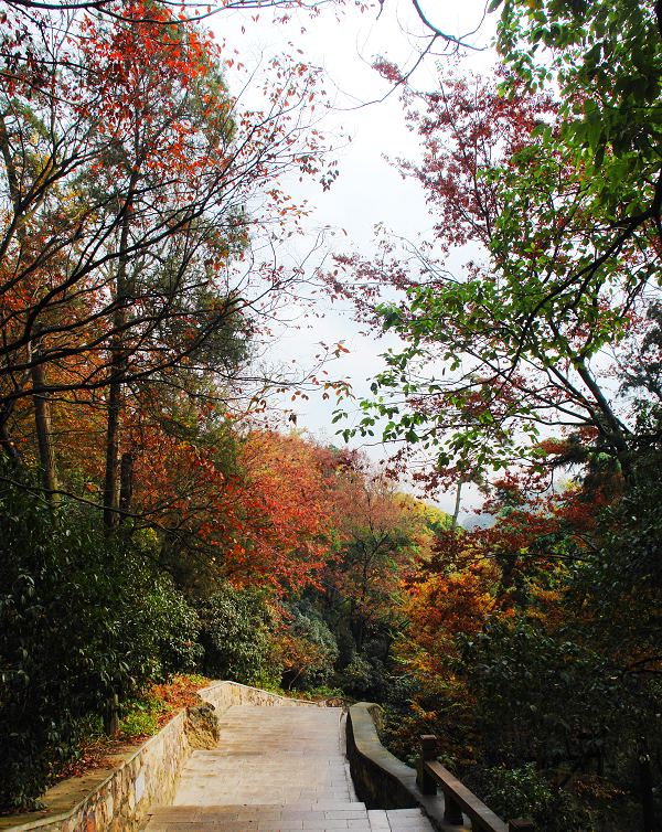 [原创]狼山随拍