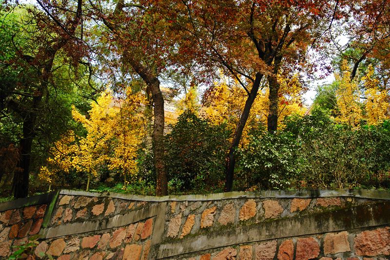 [原创]狼山随拍