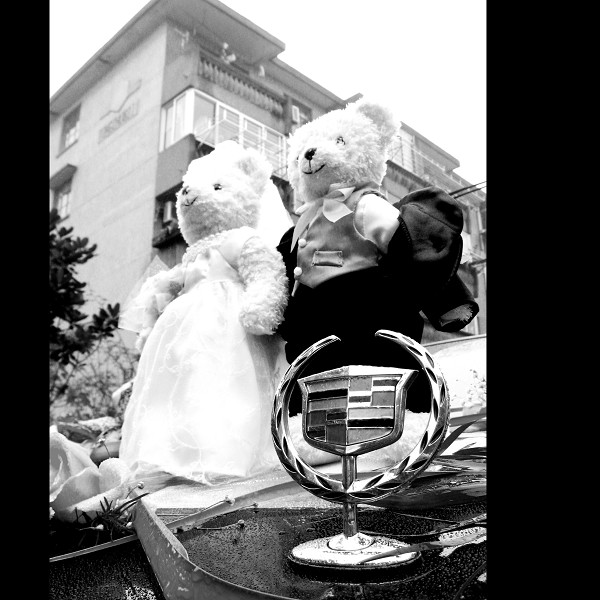 ¤¤¤ What a wonderf day ¤¤¤