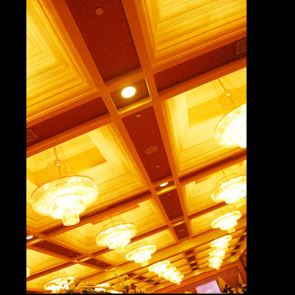 ¤¤¤ What a wonderf day ¤¤¤