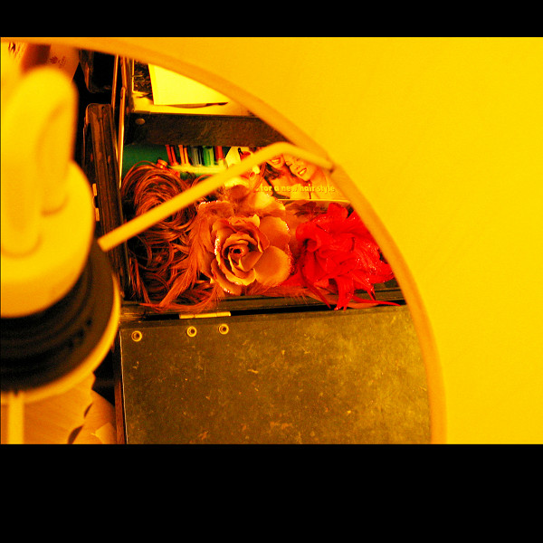 ¤¤¤ What a wonderf day ¤¤¤