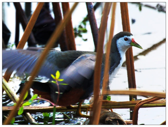 《晴天有惊喜》