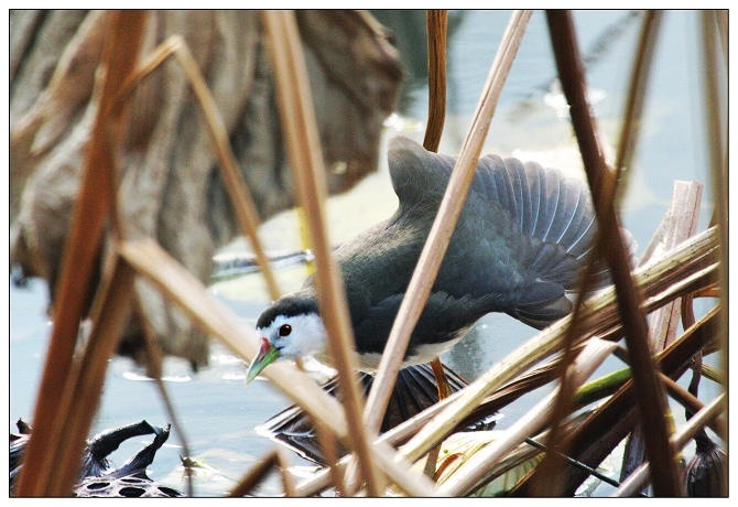 《晴天有惊喜》