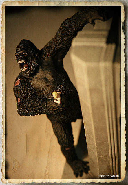 随便摁了几张心头好