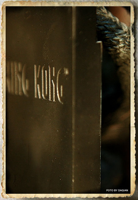 随便摁了几张心头好