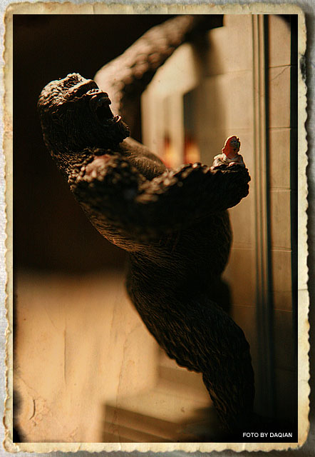 随便摁了几张心头好