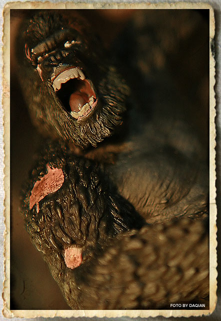 随便摁了几张心头好