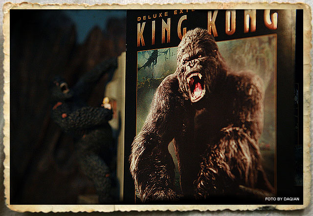 随便摁了几张心头好