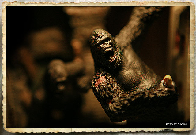 随便摁了几张心头好