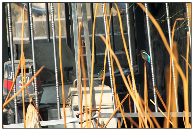 《电视台的快艇码头》