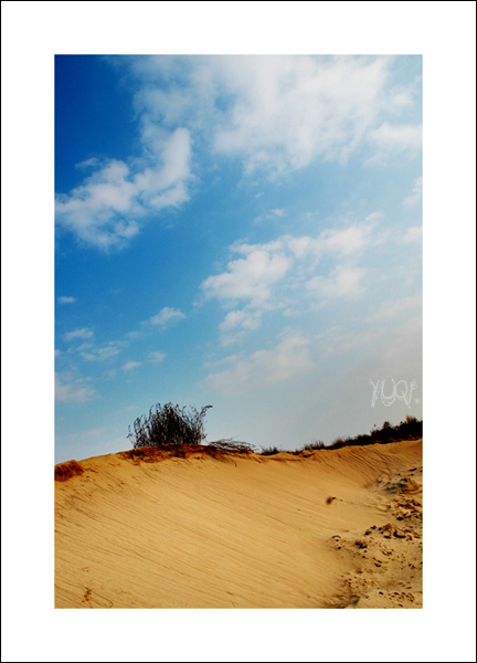 ¤¤¤2006收工帖之一¤¤¤伪沙漠¤¤¤