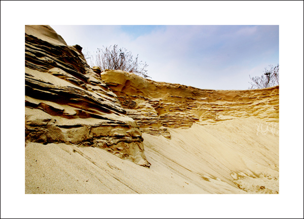 ¤¤¤2006收工帖之一¤¤¤伪沙漠¤¤¤