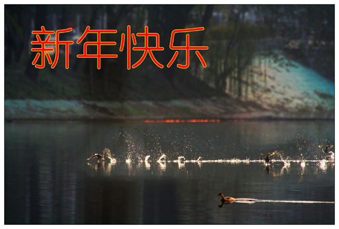 祝 《濠滨论坛》朋友们新年快乐