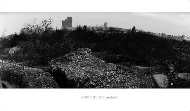 ~~~ 纯属放毒----地平线203试机 ~~~