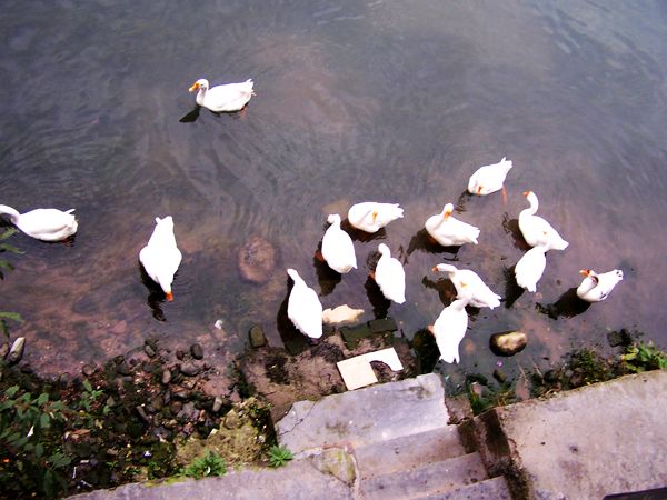 边走边拍之湘西凤凰之洛阳龙门之华山论剑