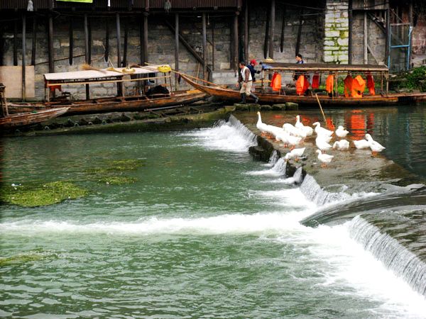 边走边拍之湘西凤凰之洛阳龙门之华山论剑