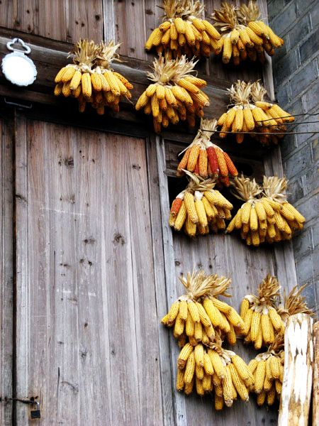 边走边拍之湘西凤凰之洛阳龙门之华山论剑