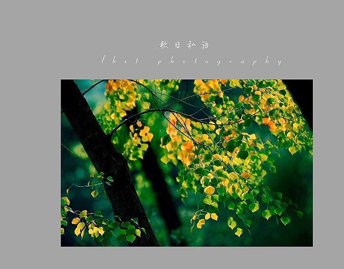 秋之私语
