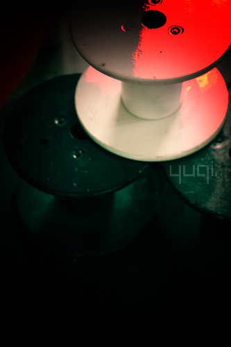 ¤¤¤我的爱¤¤¤