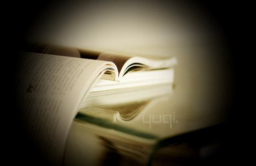 ¤¤¤我的爱¤¤¤