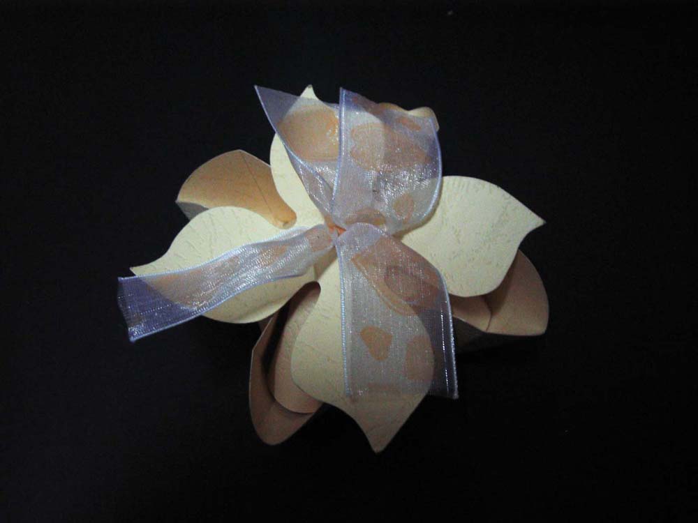 [原创]我的包装作业，大家多多指教啊~~~我是新手~~~