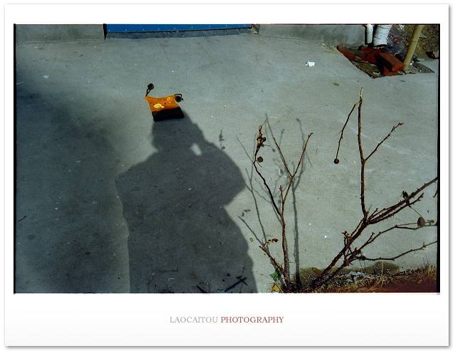 ~~~~~~ 过期胶片上的过期记忆 ~~~~~~