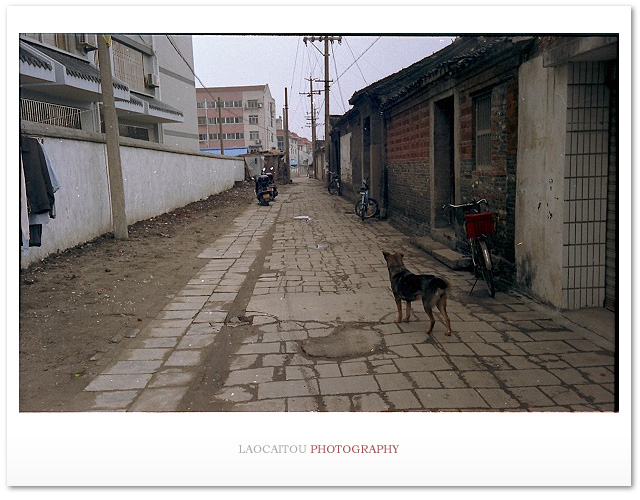 ~~~~~~ 过期胶片上的过期记忆 ~~~~~~