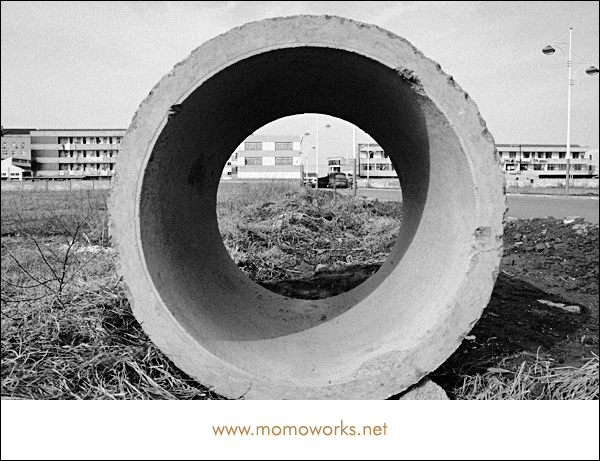 ****农村偶拾****