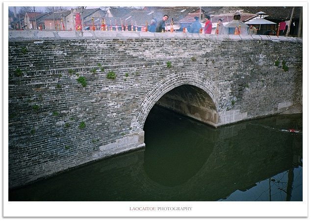 ~~~ 以毒服人,毒人不倦 ~~~