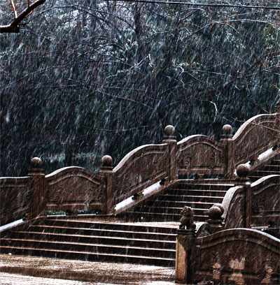 随便拍的下雪时的情景.