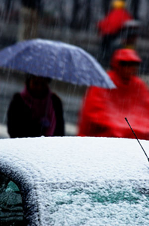 随便拍的下雪时的情景.