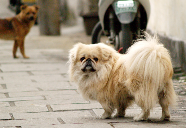 [原创]新春伊始。