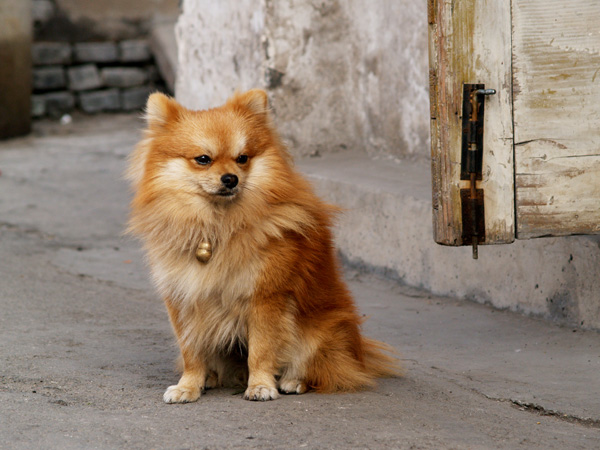 [原创]新春伊始。