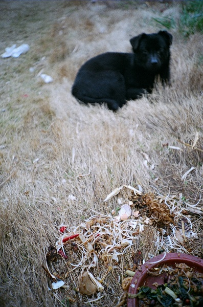 ~~~~~ 一些刻意的随意的记录 ~~~~~~